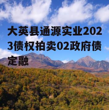 大英县通源实业2023债权拍卖02政府债定融