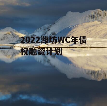 2022潍坊WC年债权融资计划