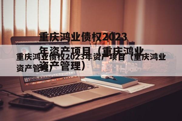 重庆鸿业债权2023年资产项目（重庆鸿业资产管理）