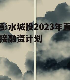 彭水城投2023年直接融资计划