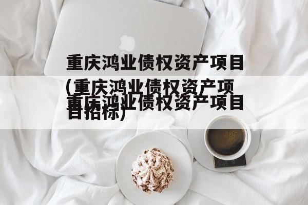 重庆鸿业债权资产项目(重庆鸿业债权资产项目招标)