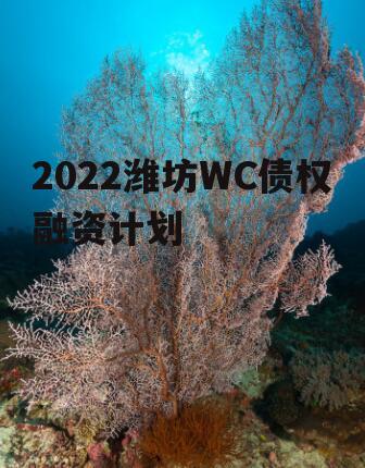 2022潍坊WC债权融资计划