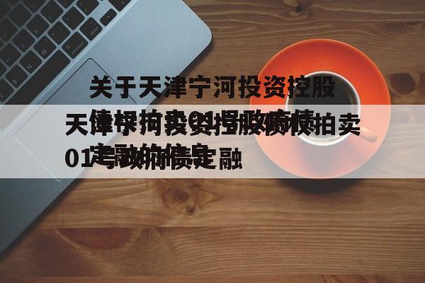 关于天津宁河投资控股债权拍卖01号政府债定融的信息