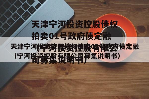 天津宁河投资控股债权拍卖01号政府债定融（宁河投资控股有限公司募集说明书）