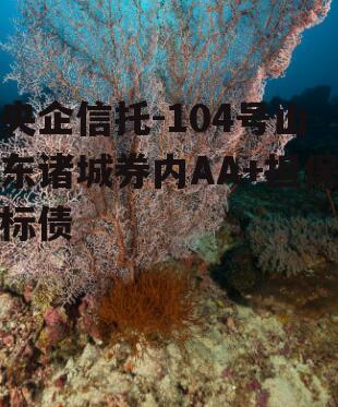 央企信托-104号山东诸城券内AA+担保标债