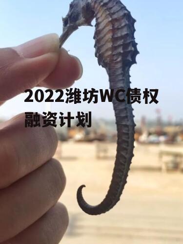 2022潍坊WC债权融资计划