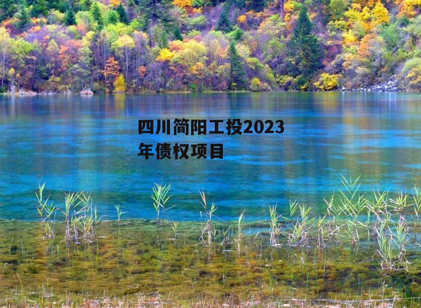 四川简阳工投2023年债权项目