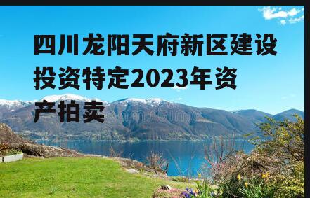 四川龙阳天府新区建设投资特定2023年资产拍卖