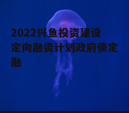 2022兴鱼投资建设定向融资计划政府债定融