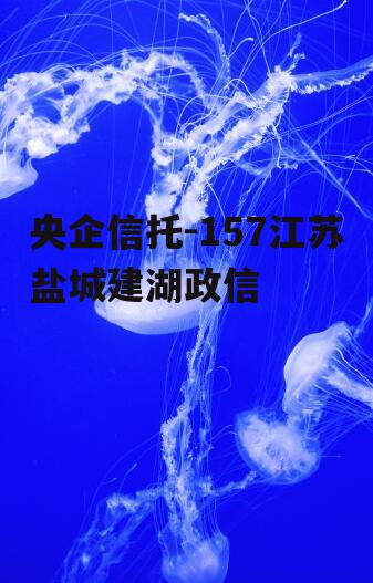 央企信托-157江苏盐城建湖政信