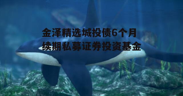 金泽精选城投债6个月续期私募证券投资基金