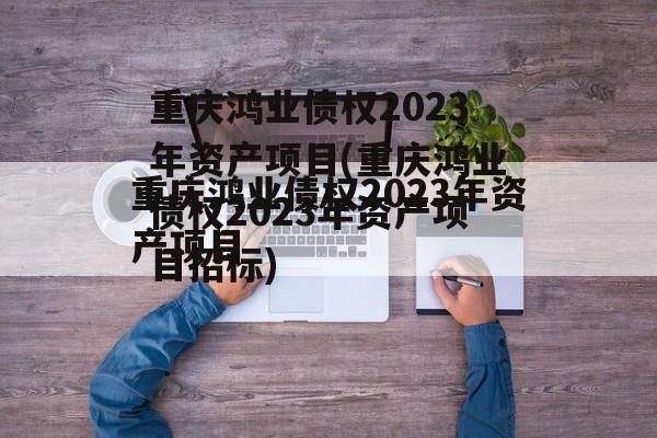 重庆鸿业债权2023年资产项目(重庆鸿业债权2023年资产项目招标)