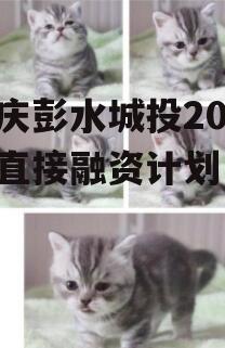 重庆彭水城投2023年直接融资计划