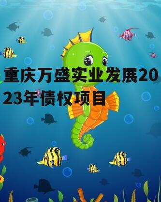 重庆万盛实业发展2023年债权项目