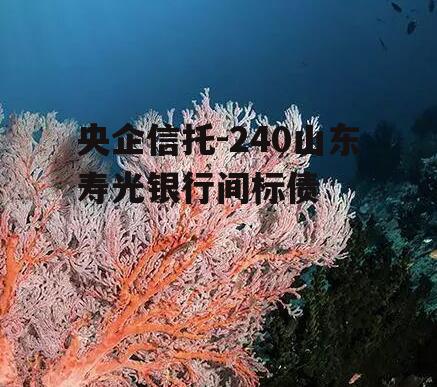 央企信托-240山东寿光银行间标债