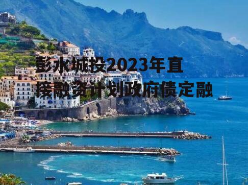 彭水城投2023年直接融资计划政府债定融