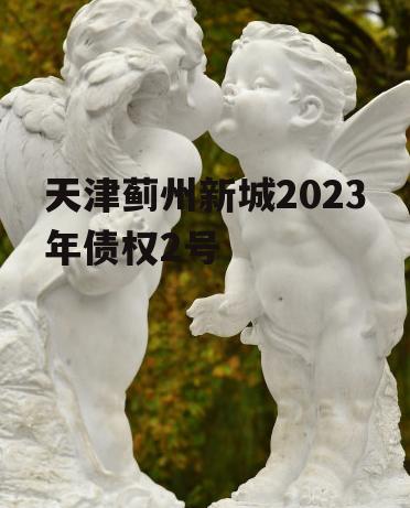 天津蓟州新城2023年债权2号