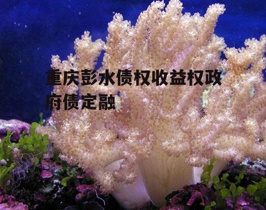 重庆彭水债权收益权政府债定融