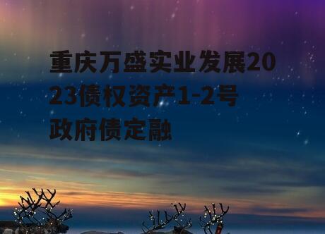 重庆万盛实业发展2023债权资产1-2号政府债定融