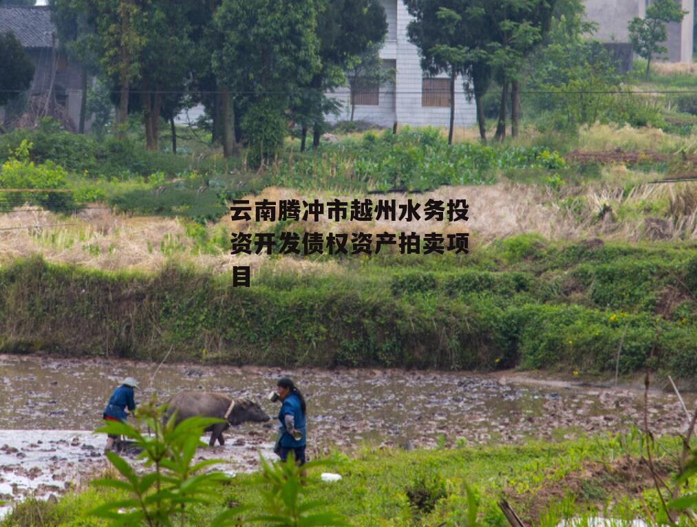 云南腾冲市越州水务投资开发债权资产拍卖项目