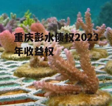 重庆彭水债权2023年收益权