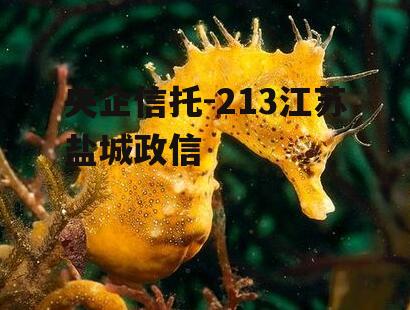 央企信托-213江苏盐城政信