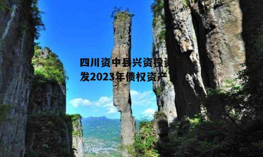 四川资中县兴资投资开发2023年债权资产