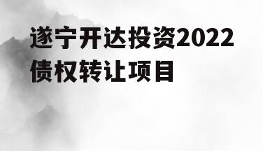 遂宁开达投资2022债权转让项目