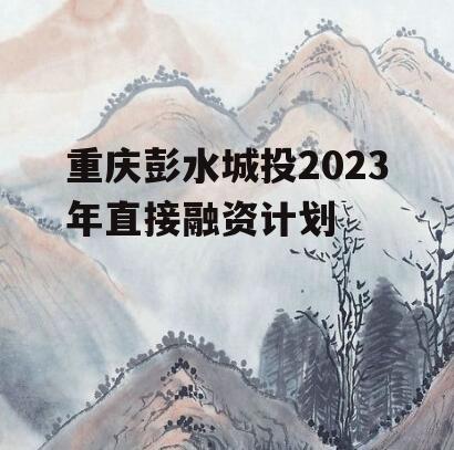 重庆彭水城投2023年直接融资计划