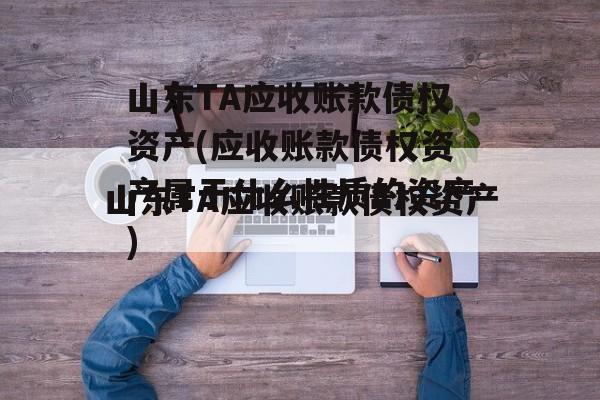 山东TA应收账款债权资产(应收账款债权资产属于什么性质的资产)