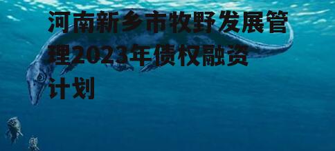 河南新乡市牧野发展管理2023年债权融资计划