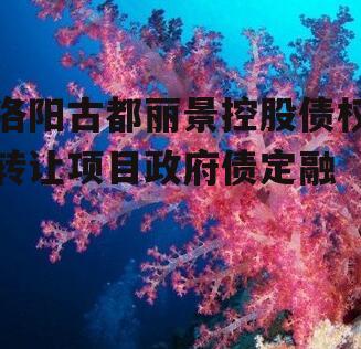 洛阳古都丽景控股债权转让项目政府债定融