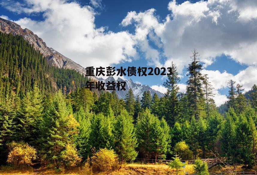 重庆彭水债权2023年收益权