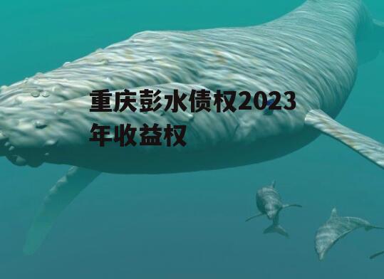 重庆彭水债权2023年收益权