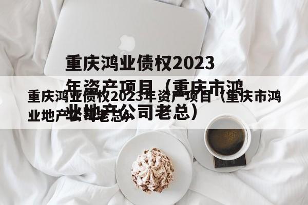 重庆鸿业债权2023年资产项目（重庆市鸿业地产公司老总）