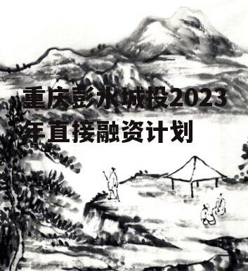 重庆彭水城投2023年直接融资计划