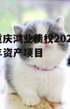 重庆鸿业债权2023年资产项目