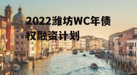 2022潍坊WC年债权融资计划