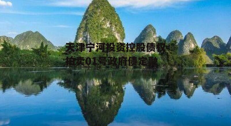 天津宁河投资控股债权拍卖01号政府债定融