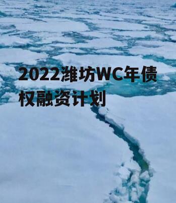 2022潍坊WC年债权融资计划