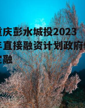 重庆彭水城投2023年直接融资计划政府债定融