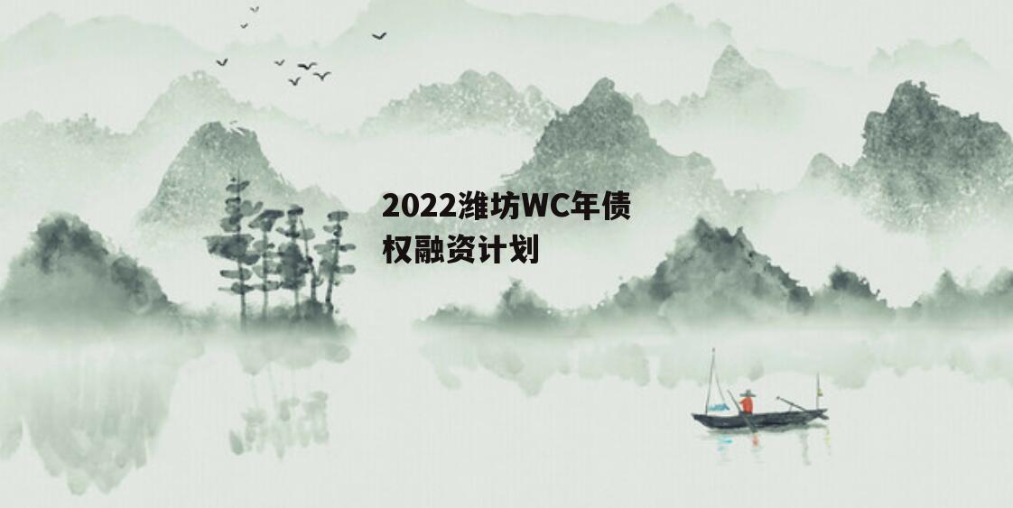 2022潍坊WC年债权融资计划