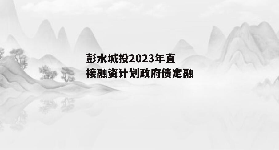 彭水城投2023年直接融资计划政府债定融