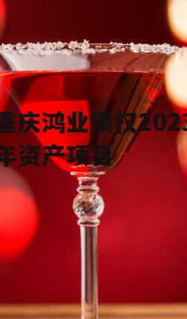 重庆鸿业债权2023年资产项目