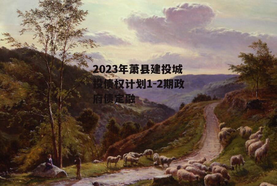 2023年萧县建投城投债权计划1-2期政府债定融