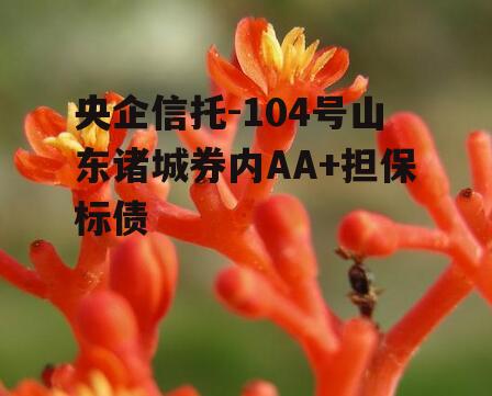 央企信托-104号山东诸城券内AA+担保标债