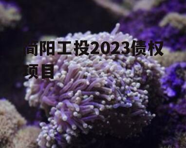 简阳工投2023债权项目