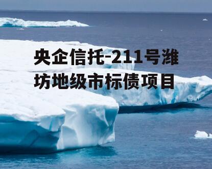 央企信托-211号潍坊地级市标债项目