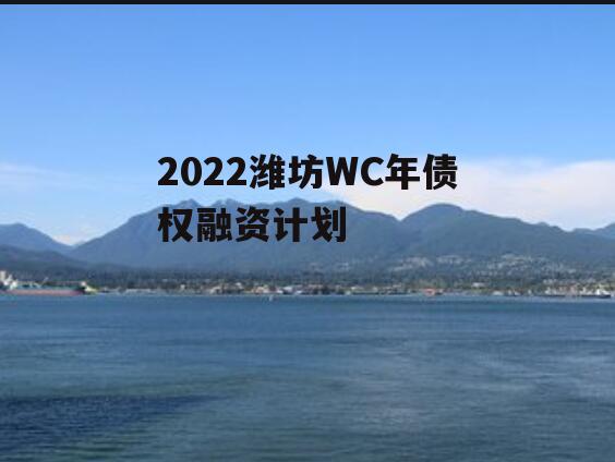 2022潍坊WC年债权融资计划