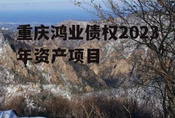 重庆鸿业债权2023年资产项目